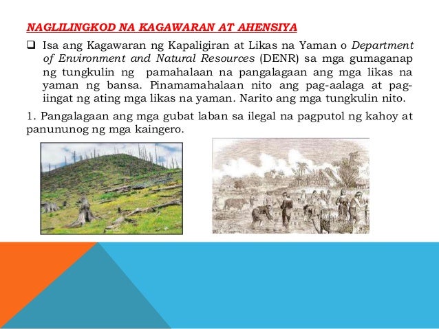 Programa ng pamahalan para sa kalikasan programa ng pamahalaan para sa yamang tao
